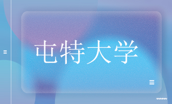 屯特大學(xué)offer