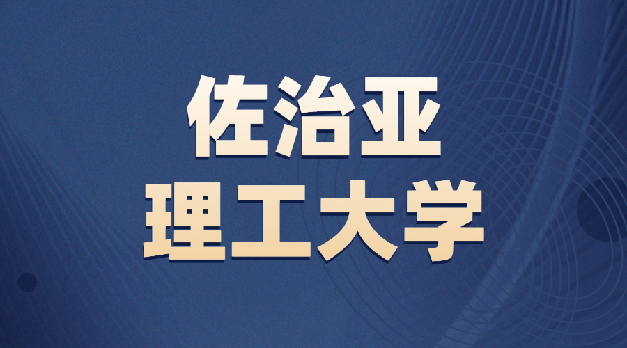 佐治亞理工大學(xué)Offer